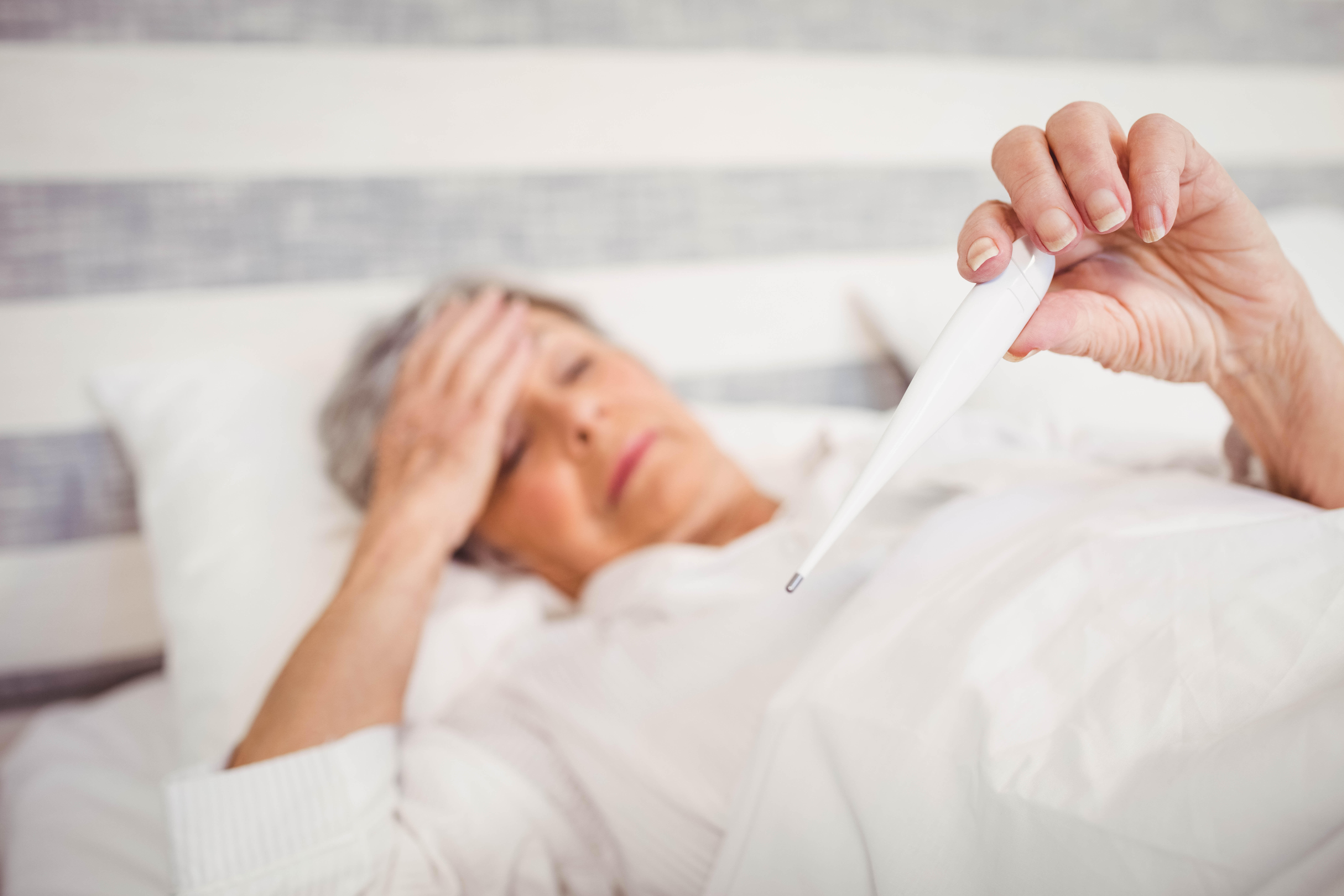 Fever, Adult